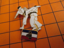 520 Pin's Pins / Beau Et Rare  / THEME SPORTS : JUDO KARATE - Judo