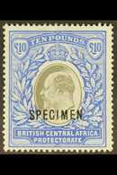 1903-04 £10 Grey And Blue Opt'd "SPECIMEN", SG 67s, Mint Part OG, Very Fresh And Attractive. For More Images, Please Vis - Nyasaland (1907-1953)