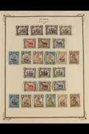 NYASSA COMPANY 1897-1925 COMPLETE MINT COLLECTION  Presented On Printed "Scott" Pages That Includes The 1897 Carlos Over - Altri & Non Classificati