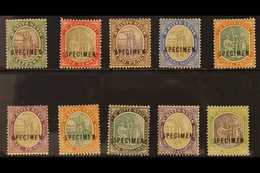 1903 Complete Set, Overprinted "SPECIMEN", SG 1/10s, Fine Mint. (10) For More Images, Please Visit Http://www.sandafayre - St.Kitts E Nevis ( 1983-...)