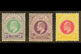 NATAL 1902 2s, 2s 6d & 4s Ed VII Top Values, SG 137/9, Very Fine And Fresh Mint. (3 Stamps) For More Images, Please Visi - Zonder Classificatie