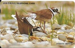 CARTE-MAGNETIQUE-COREE SUD-OISEAUX De RIVAGE -TBE- - Zangvogels