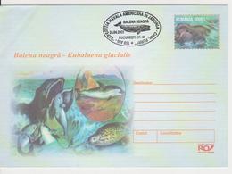 WALES BLACK  ROMANIA POSTAL STATIONERY - Whales