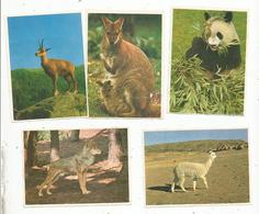 Image CHOCOLAT POULAIN , Animaux , Serie 1 ,n° 2/3/14/15/21 , 2 Scans , LOT DE 5 IMAGES - Poulain