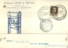 6605 " FARMACIA LANDI & TRONCI-LUCCA-CALLIFUGO LUCCA "-CART. POST. ORIG. SPED.1940 - Negozi