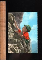 Alpinisme : Petit Alpiniste Little Mountaineer Kleiner Bergsteiger - Alpinisme