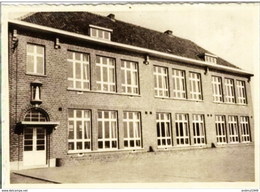 PIJPELHEIDE - School - Heist-op-den-Berg