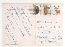 Beaux Timbres , Stamps " Hérisson , Lapin , Antilope " Sur Cp , Carte , Postcard  " Birdlife Africa " Du 17/04/2000 - Covers & Documents