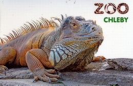 Zoo Chleby (CZ) - Iguana - Animali & Fauna