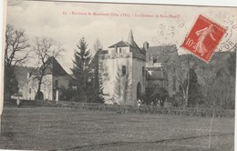 SAINT REMYU   COTE D'OR  21 CPA   LE CHATEAU - Autres & Non Classés