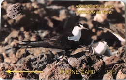 ASCENCION - Phonecard  -  Cable § Wireless  - Bird Wideawake Tern  -  £25 - Islas Ascensión