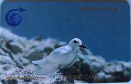 ASCENCION - Phonecard  -  Cable § Wireless  - Bird   -  £10 - Isole Ascensione