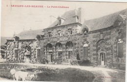 SAVIGNY LES BEAUNE    COTE D'OR  21  CPA  LE PETIT CHATEAU - Autres & Non Classés