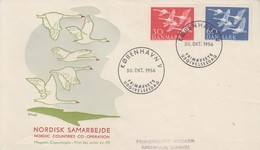 Enveloppe  FDC  1er  Jour   DANEMARK   Journée  Des   Pays  Du  Nord   1956 - FDC