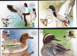 ISRAEL, 1989, Maxi-Card(s), Ducks In The Holy Land, SG1076-1079, F5655 - Cartes-maximum