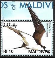 MALDIVES - MNH 2007 : Migrated Birds Of The Maldives :      Sooty Tern  -  Onychoprion Fuscatus - Möwen