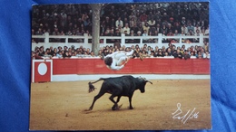 CPSM LA COURSE LANDAISE SAUT AU DESSUS DE LA COURSIERE EXCERCICE PRISE AGRUNA SAUT PERILLEUX ROGER CARRERE ED LAFITTE - Toros