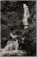 Todtnau Todtnauberg - S/w Todtnauberger Wasserfälle - Todtnau