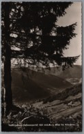 Todtnau Todtnauberg - S/w Blick Ins Wiesental - Todtnau