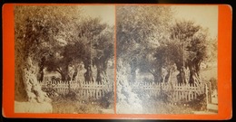 PHOTO STÉRÉOSCOPIQUE JÉRUSALEM JARDIN DE GETHSÉMANIE - Stereoscopes - Side-by-side Viewers