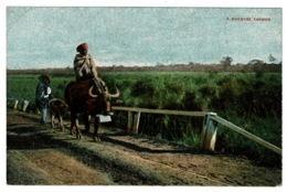 Ref 1338 - Early Ethnic Postcard - A Burmese Farmer - Burma - Water Buffalo - Myanmar (Birma)