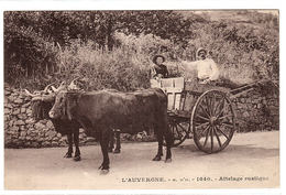 AGRICULTURE - ATTELAGE - L' AUVERGNE (63) - Attelage Rustique - Ed. J. Gouttefangeas, Olliergues - Attelages
