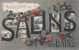 SALINS LES BAINS  39   JURA     CPA  COLORISEE  MULTIVUES  SOUVENIR DE SALINS LES BAINS - Autres & Non Classés