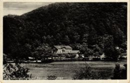 CPA AK Bad Lauterberg Wiesenbeeker Teich GERMANY (955748) - Bad Lauterberg