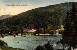 CPA AK Bad Lauterberg Wiesenbeeker Teich GERMANY (955749) - Bad Lauterberg