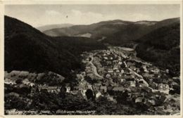 CPA AK Bad Lauterberg Blick Vom Hausberg GERMANY (955757) - Bad Lauterberg