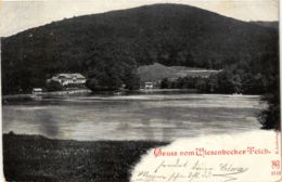 CPA AK Bad Lauterberg Gruss V Wiesenbeeker-Teich GERMANY (955764) - Bad Lauterberg