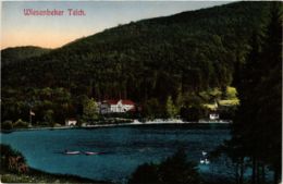 CPA AK Bad Lauterberg Wiesenbeeker Teich GERMANY (955766) - Bad Lauterberg