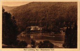 CPA AK Bad Lauterberg Wiesenbeeker Teich GERMANY (955771) - Bad Lauterberg