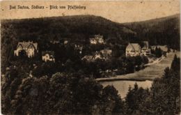 CPA AK Bad Sachsa Blick Vom Pfaffenberg GERMANY (955939) - Bad Sachsa