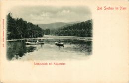 CPA AK Bad Sachsa Schmelzteich Mit Katzenstein GERMANY (955950) - Bad Sachsa