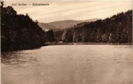 CPA AK Bad Sachsa Schmelzteich GERMANY (955951) - Bad Sachsa