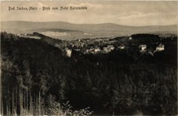 CPA AK Bad Sachsa Blick Vom Hotel Katzenstein GERMANY (955957) - Bad Sachsa