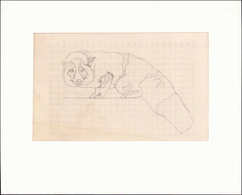 MAQ SAINT PIERRE & MIQUELON - Poste - 345, Maquette Originale Au Crayon Sur Calque (115 X 180), Centre Seul: Renard Arge - Autres & Non Classés