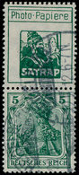 O ALL. EMPIRE - Timbres De Carnets - Michel S1.13, "Satrap" (petit) + 5pf. Vert - Autres & Non Classés