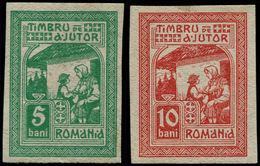 * ROUMANIE - Bienfaisance - Zimbrul 19/20, Non Dentelés (le 19 **): Moscova 1917 - Autres & Non Classés