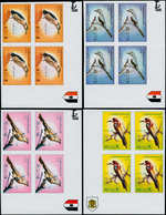 ** LIBYE - Poste - 573/77, Blocs De 4 Non Dentelés, Cdf, (tirage 400): Oiseaux - Libye