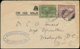 TASMANIE - Service - 2 + 6, Perforation Grand "T", Sur Enveloppe Préimprimée "OHMS" Pour Les USA, Hobart 21/11/10 - Lettres & Documents