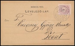 1894 Levelezőlap 2kr Bérmentesítéssel "HISNYÓVIZ P.U. / GÖMŐR-KISHONT VM." Igen Ritka Bélyegzés RR! - Otros & Sin Clasificación