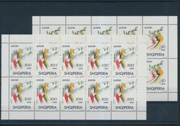 ** 1995 Europa CEPT Kisívsor Mi 2556-2557 - Sonstige & Ohne Zuordnung