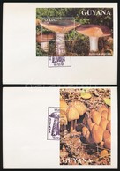 1991 Gomba Sor Mi 3680-3684 + Blokksor Mi 142-143 3 Db FDC-n - Other & Unclassified