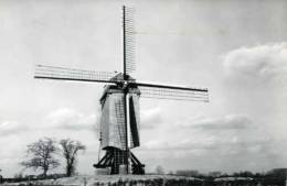 BALEGEM Bij Oosterzele (O.Vl.) - Molen/moulin/mill - De Windekemolen Na De Restauratie Van 1984 - Oosterzele