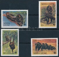 ** 1983 WWF Csimpánzok Sor, WWF Chimpanzees Set Mi 713-716 - Autres & Non Classés