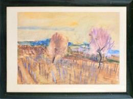 Somlai Vilma (1938-2007): Virágzó Fák A Balatonnál. Akvarell, Papír, Jelzett. 44x55 Cm Üvegezett Keretben - Otros & Sin Clasificación