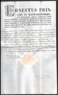 1810 Schwarzenberg Ernő Herceg Püppök által Kiadott Házasságlevél Frank György (1742-1822) Bölcseleti és Teológiai Dokto - Unclassified