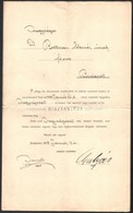 1908 MÁV Mozdonyfűtők Ls Fűtőházi Munkások Koszorú- és Zászlótársulata Dísztaggá Választó Okmánya Dr. Rottman Elemér Főo - Sin Clasificación